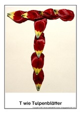 T-wie-Tulpenblätter.pdf